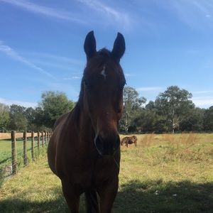 Meet your Posher, Gabriella